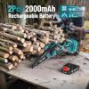 SEESII P6 Ultra/Ace 2-in-1 Electric Pole Saws:6 Inch Mini Chainsaw Cordless with Extension Pole,2Pcs Batteries,Brushless Chain Saw for Limb Branch Cutter,Battery Tree Trimmers Pruner,16Ft Long Reach