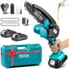 SEESII 2-in-1 Electric Pole Saws for Tree Trimming, 6 Inch Mini Chainsaw Cordless with Extension Pole, Battery Powered Pole Chain Saw, Tree Trimmer Limb Branch Cutter Pruner with 2 Battery PS600(Blue-6 Inch Saw)