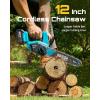 SEESII 2-in-1 Electric Pole Saws: Brushless Mini Chainsaw Cordless 6 Inch, 2 x 4000mAh Batteries, Pole Saw for Tree Trimming,Hand held Chain Saw with Extension Pole for Tree Limb Branch Cutter,P6 Ace(Ice Blue)