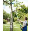 SEESII 10-Inch 2-in-1 Cordless Pole Saw & Mini Chainsaw, 21V Battery Powered Brushless Electric Tree Trimmer with Extension Pole, 2×4000mAh Batteries, Automatic Oiling,Handheld Pruner(10 inch pole saw)