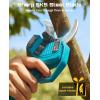 SEESII 2-in-1 Pole Pruning Shears: 2.2″ Cutting Diameter Cordless Electric Pole Pruners, 2*4000mAh Batteries, Brushless Motor, Extra SK5 Blade, 4 Mode Adjustable Garden Shears for Tree Flower Trimming(Light Blue)