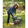 SEESII Electric Chainsaw Cordless 12-inch: Brushless Battery Powered Small Chainsaw, 2 x 4.0Ah Batteries, Auto-Tension and Oiling Mini Chain Saw for Christmas Dad Men Gifts, Tree Cutting Trimming